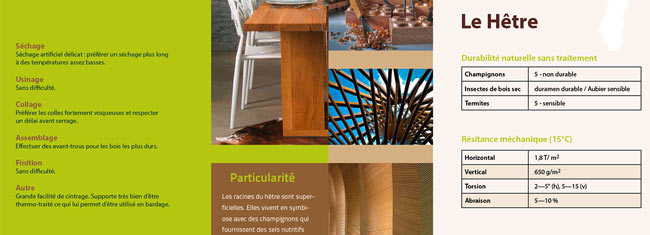 Innenseiten - Broschüre Interessenverband Holz