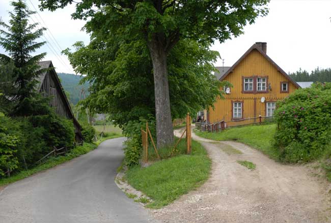 mit Baum in der Mitte